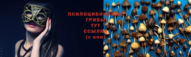 где продают наркотики  KRAKEN рабочий сайт  Галлюциногенные грибы MAGIC MUSHROOMS  Касимов 